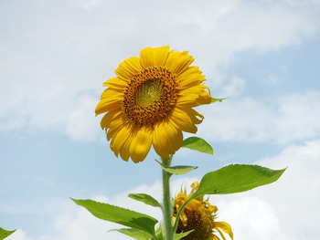resize3906