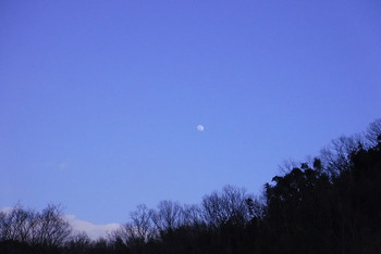 resize7021