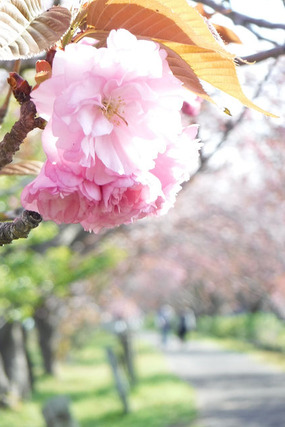 resize7610