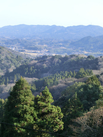 resize2190