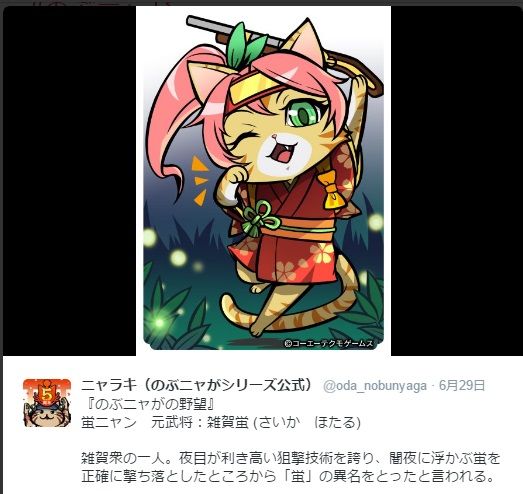 イチから始める奇跡ののぶニャが のぶニャが 初心者 入門編