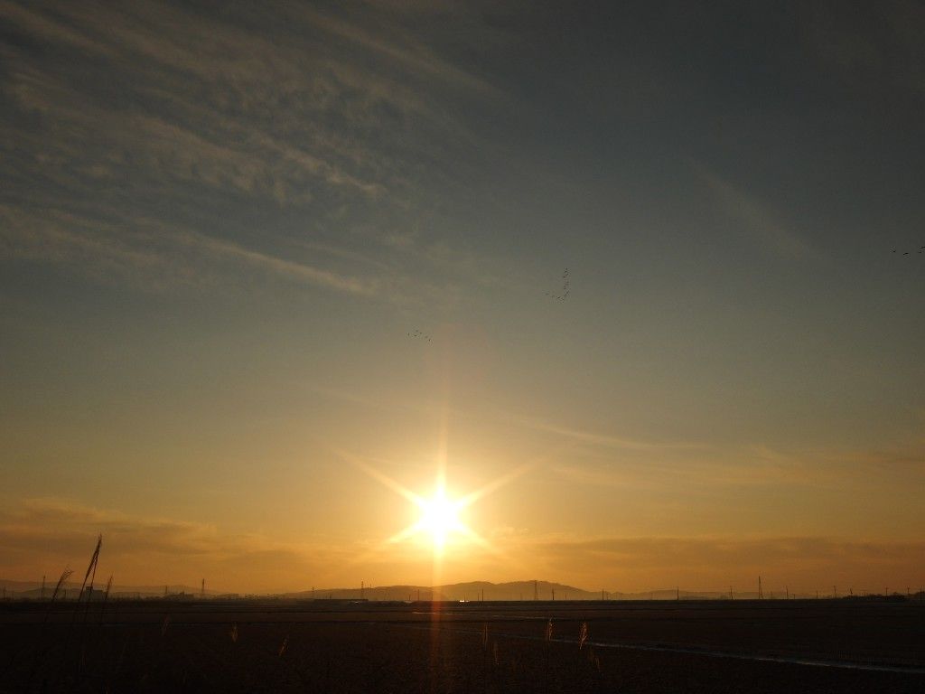 朝日が昇る散歩道 Somekoの山野草日記