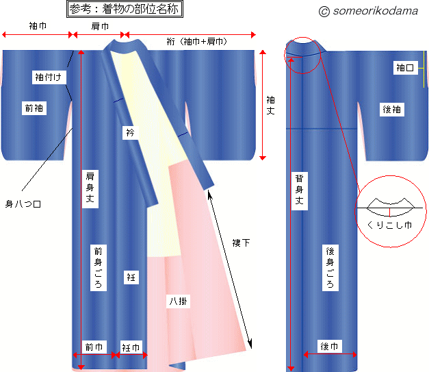 身丈 背身丈と肩身丈の違い あいすべ き も の