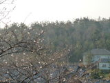 Á뤫¤é¸«¤¨¤ë·Ê¿§(09.04.07)