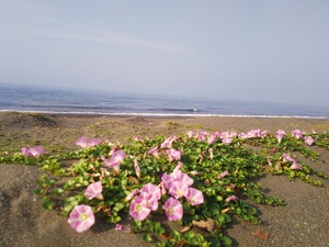 20180523