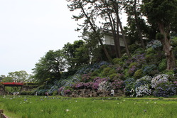 odawara_130623