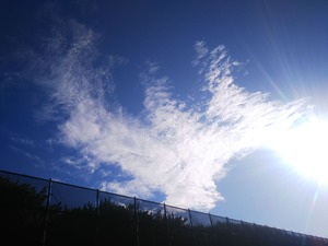 20190726_2