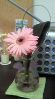 flower_111004