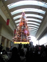tree_081223_02