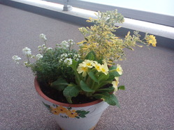 20150224_01