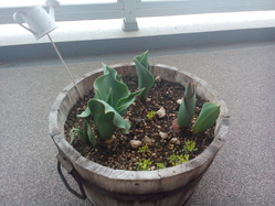 20150224_02