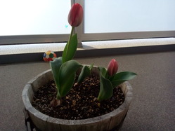 spring_140401_03
