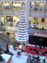 tree_081223_01