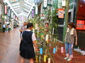 DSCN0154