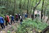 IMG_0352