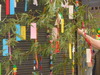 DSCN0817