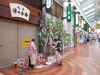 DSCN0810