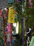 DSCN0159