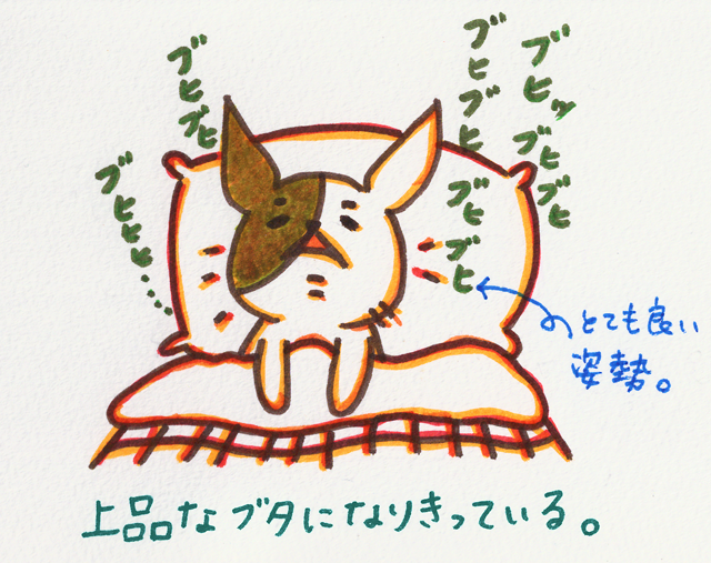 種族を超えた寝言