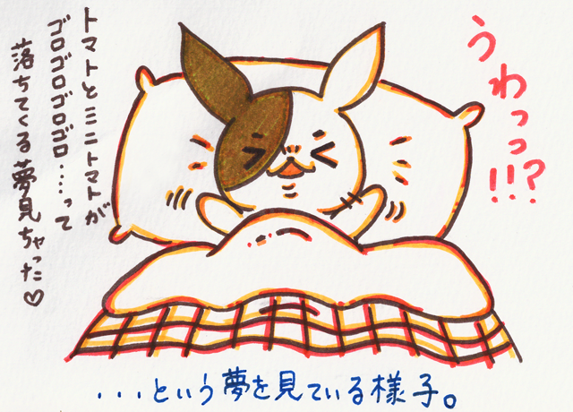 夢の中の夢の中の・・・