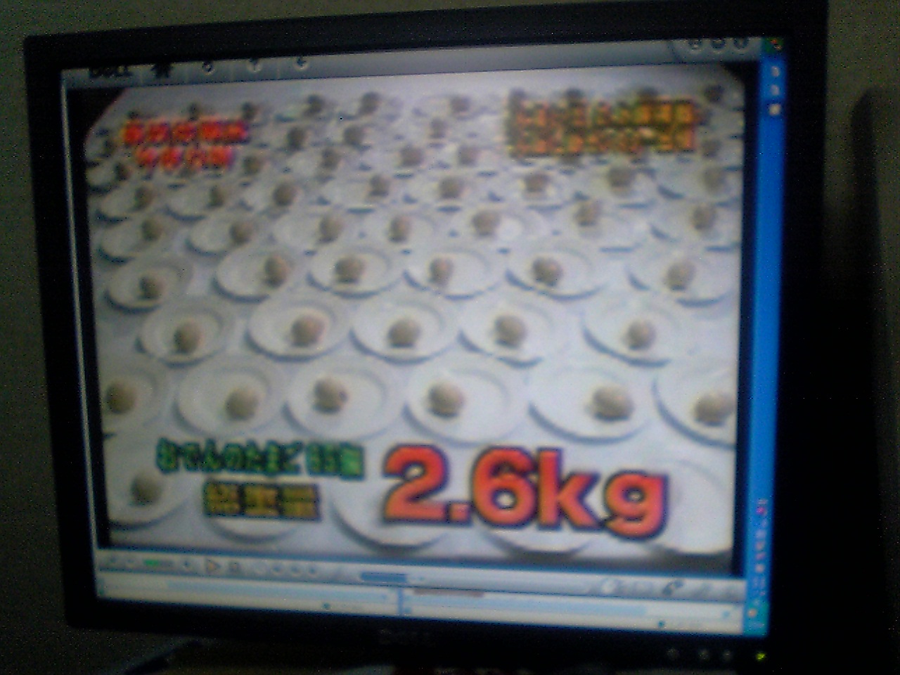 大食い王決戦06秋 予選 ギャル曽根大食い伝説 大食いフードファイターギャル曽根さん応援ブログ