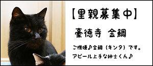kinta-b