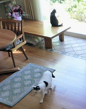 ③幸ちゃんボク帰るよー！