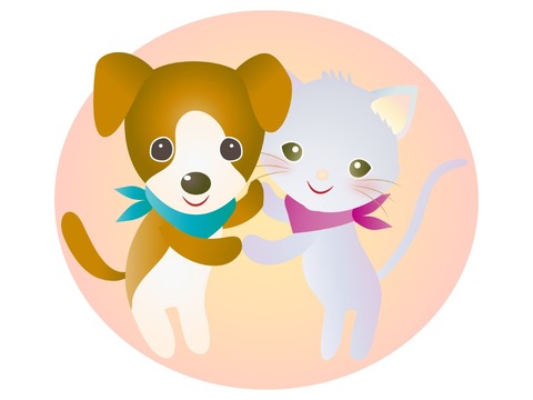 thumbnail_犬と猫4