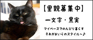 kuromi-b