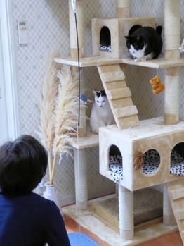 ②朝の挨拶　おはよー