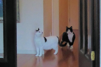 ⑥ここまでにしようか　P1040808 2