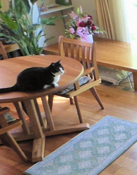 ②幸ちゃん　丸テーブルが好きそう！