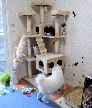 ④べんが入っても平気　P1040788 2