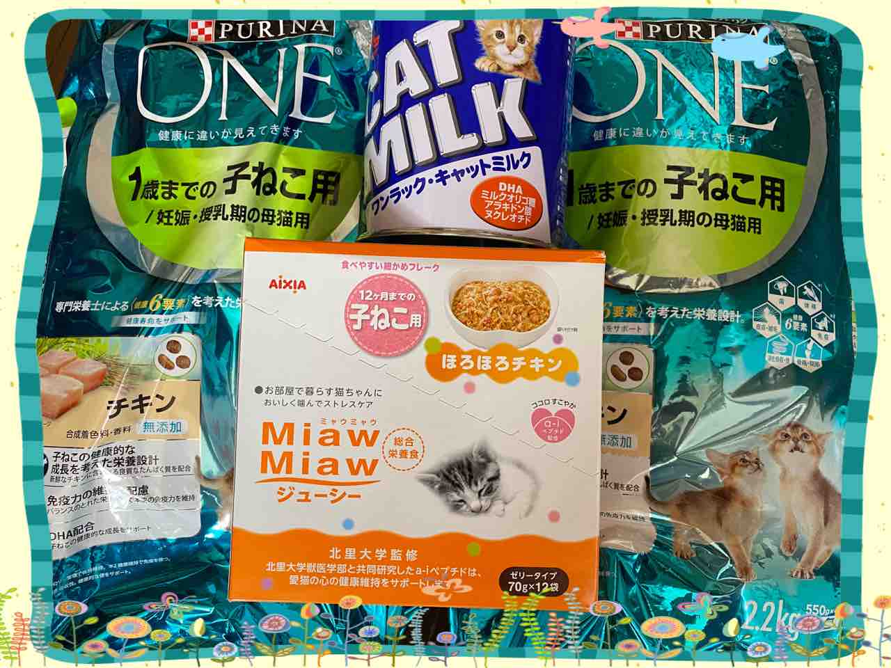最低価格の ミャウミャウ ジューシー 子ねこ用 ほろほろチキン 70g 12袋 Shipsctc Org 最低価格の ミャウミャウ ジューシー 子ねこ用 ほろほろチキン 70g 12袋 Shipsctc Org