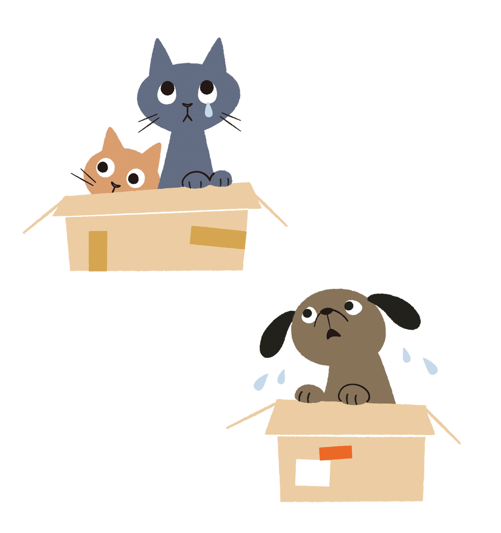 パワーアップした猫の部屋 三度の飯 犬と猫