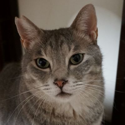 ウォッカ