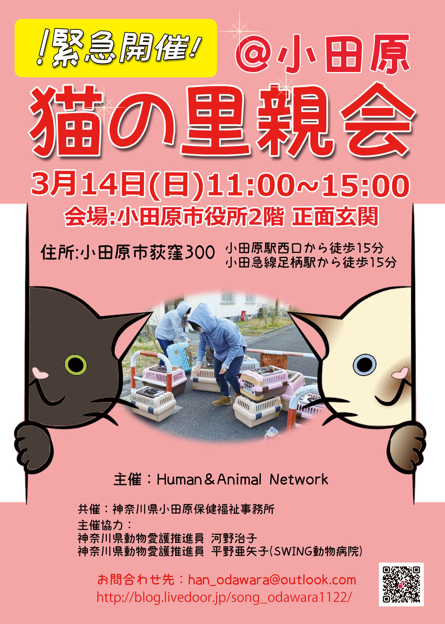 3月14日 日 小田原譲渡会を開催します 三度の飯 犬と猫