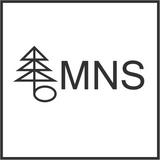 MNS