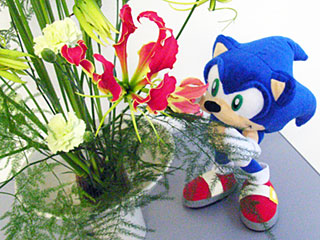 070809_2.jpg