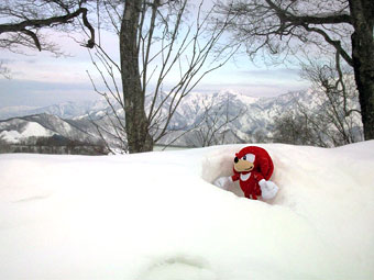 ナックルズ090209_2.jpg