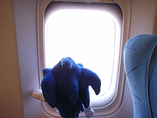 071116_1.jpg