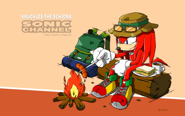 2016_09_knuckles