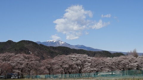 DSC00061