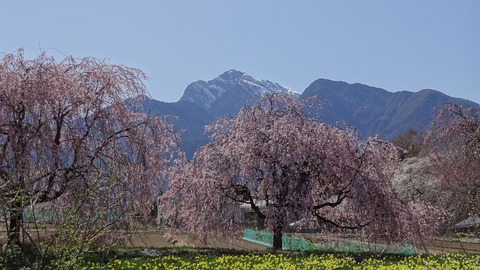 DSC00057