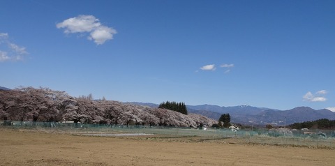DSC00059