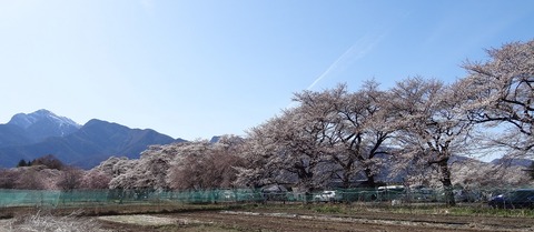 DSC00074