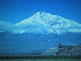 ararat