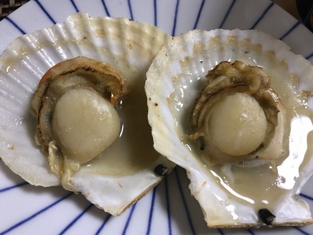 ふるさと納税 北海道森町 噴火湾産ほたてセット お得な中身ご紹介 彩りブログ ふるさと納税 北海道森町 噴火湾産ほたてセット お得な中身ご紹介 彩りブログ