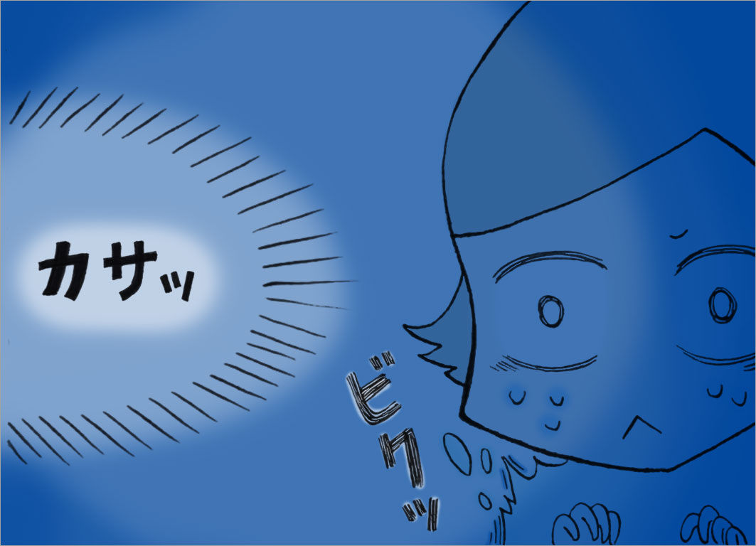 「カサッ」物音 「カサッ」物音