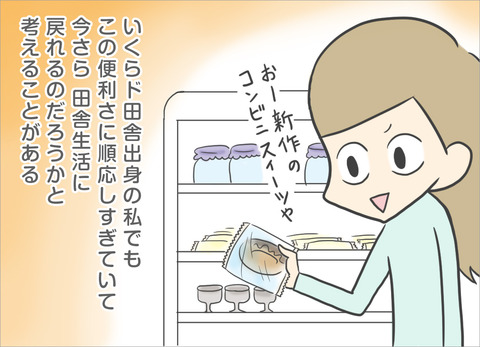 いくらド田舎出身の私でもこの便利さに順応し過ぎていて、今更田舎生活に戻れるのだろうかと考えることがある